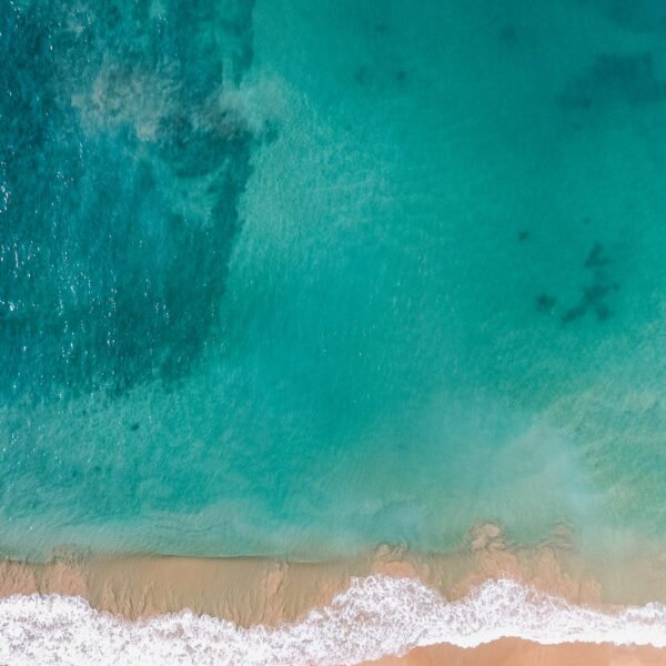 香水草莓大果禮盒